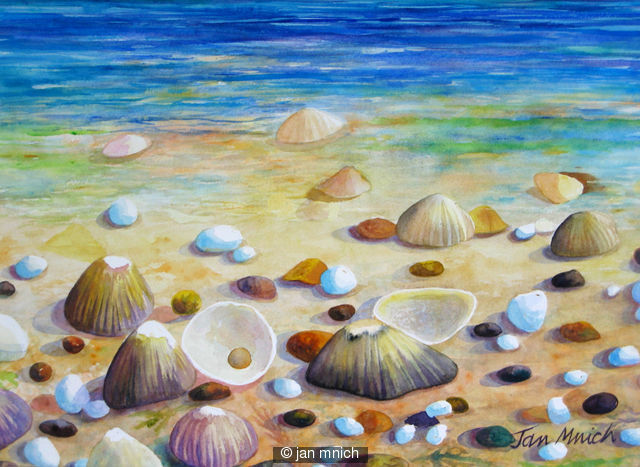Shell Beach