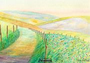 Chalk Pathways