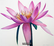 Lotus Flower