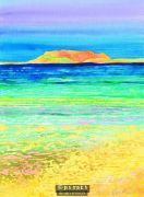 Turquoise Waters