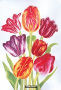 Tulip Group