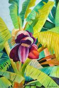 Banana Flower
