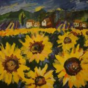 Sunflower field in Provence (2)