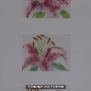 Three Pink Stargazer Lilies