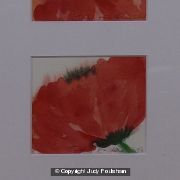 Three Poppies