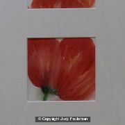 Three Poppies (2)