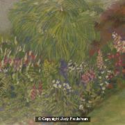 Garden Border