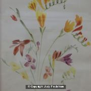 Fresias