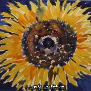 One Sunflower (2)