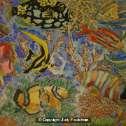 Tropical Fish