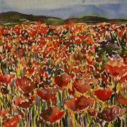 Poppy Field - Original Print