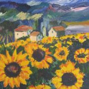 Sunflower field in Provence (1)