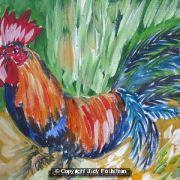 Thin cockerel
