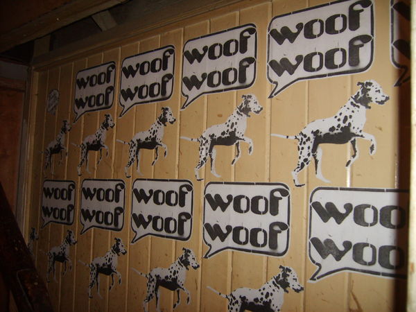Spot Dog wallpaper