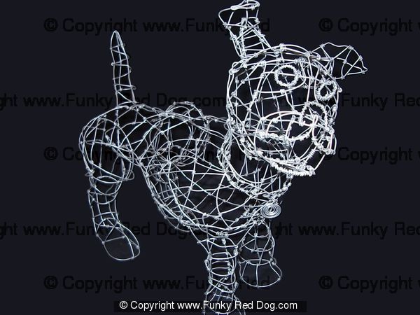 Small Wire Dog