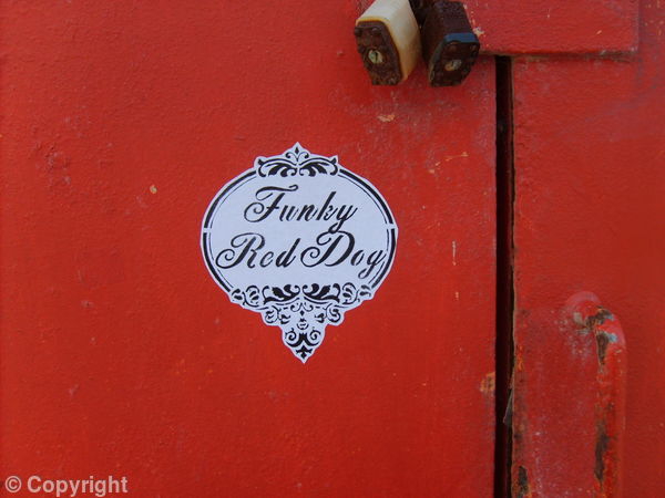 Funky Red Dog Logo