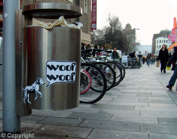 Spot Dog Run Bin