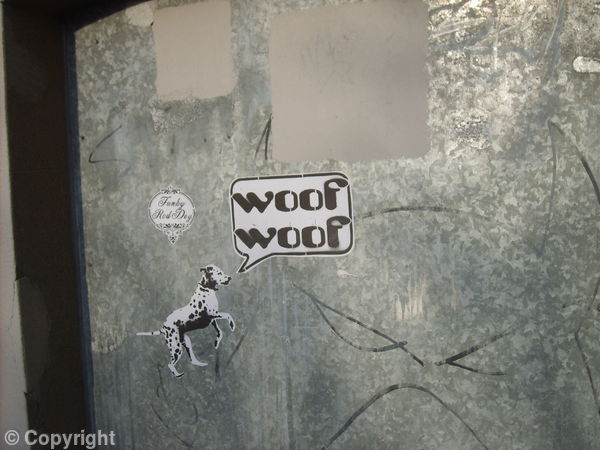 Spot Dog Void