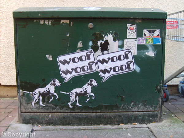 Spot Dogs