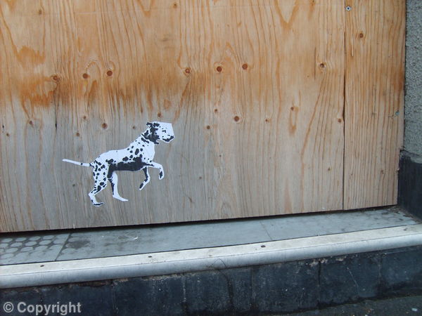 Spot Dog