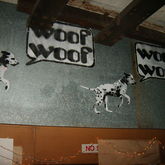Big Spot Dogs