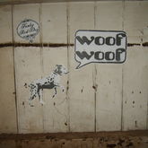 Spot-the-Dog