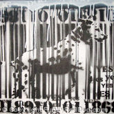 SpotDog Barcode 05