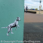 Spot Dog Run Brighton beach