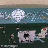 Funky Red Dog Logo on green box