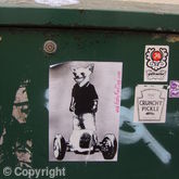 Dog Boy sticker