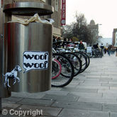 Spot Dog Run Bin