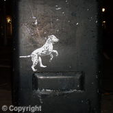 Spot Dog Run Post