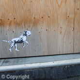 Spot Dog