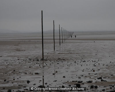 Lindisfarne Walkers