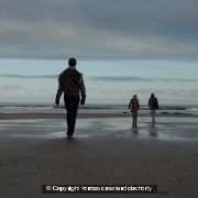 A Walk to the Sea