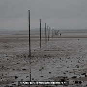 Lindisfarne Walkers