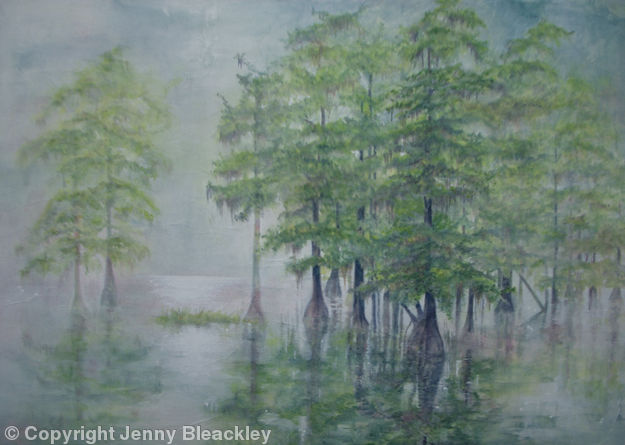 Swamp-Cypress