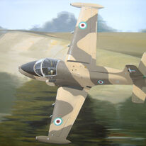 strikemaster-painting
