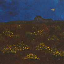A Buzzard over Grenville Battery.