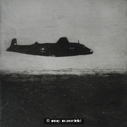 1. Flight Out