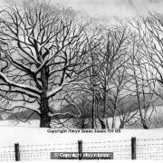 Snowscene Aberdare Country Park